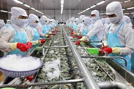 Procedures for importing fresh seafood